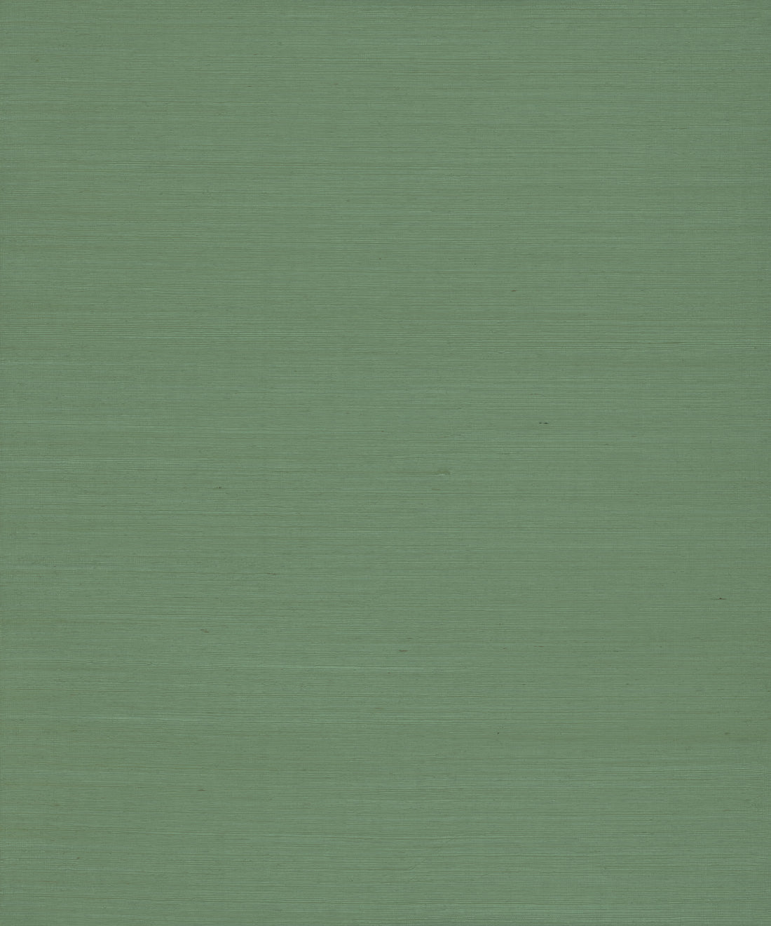 Green grasscloth wallpaper