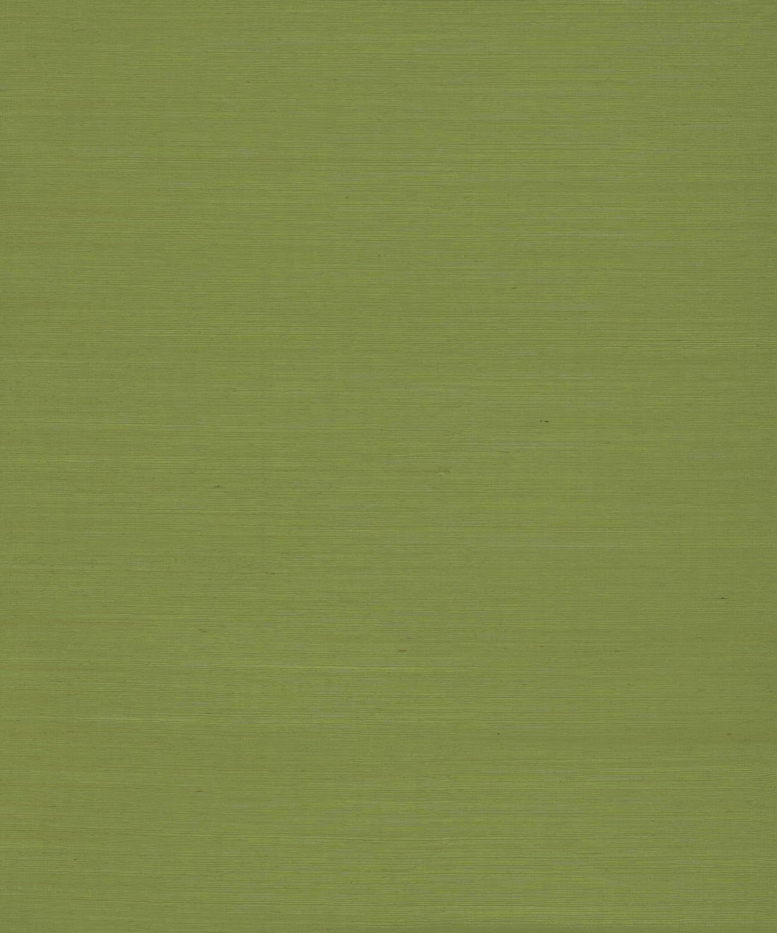 Green grasscloth wallpaper