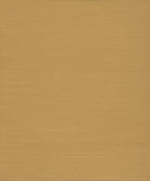 Yellow Gold grasscloth wallpaper
