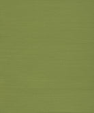 Green grasscloth wallpaper